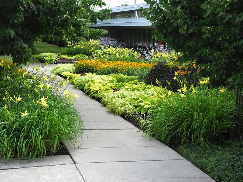 The Cultivated Garden